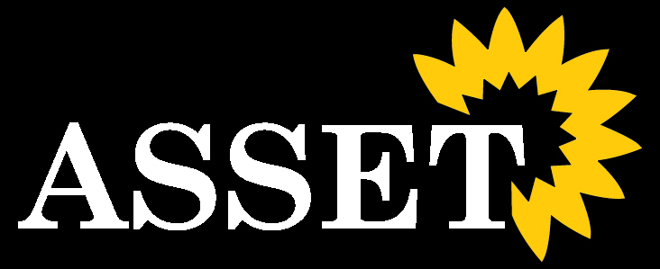 Asset Logo